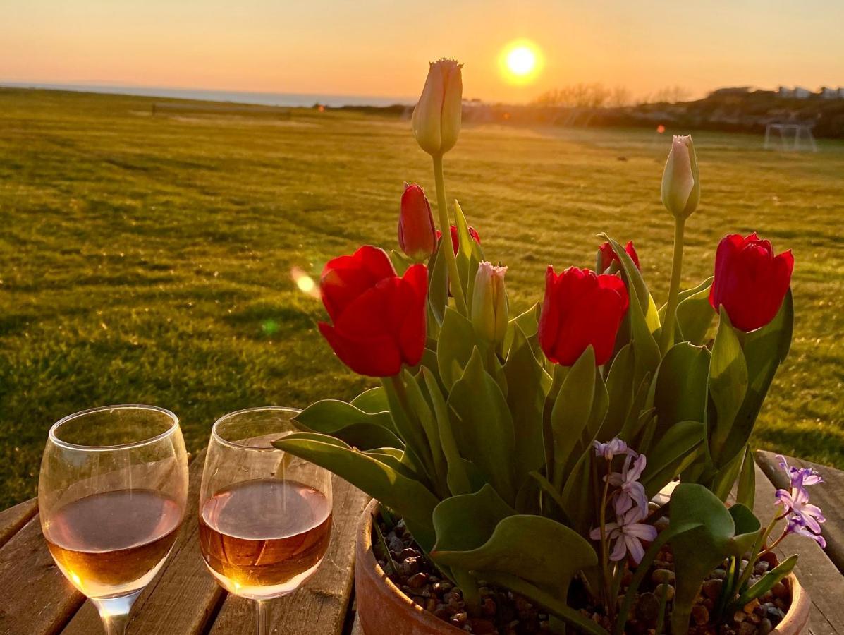 Bayview Self-Catering Coastal Bungalow In Rural West Wight Freshwater Exteriör bild